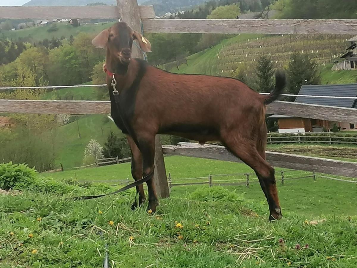 Ranch At Geta Guest House Razgorce Luaran gambar