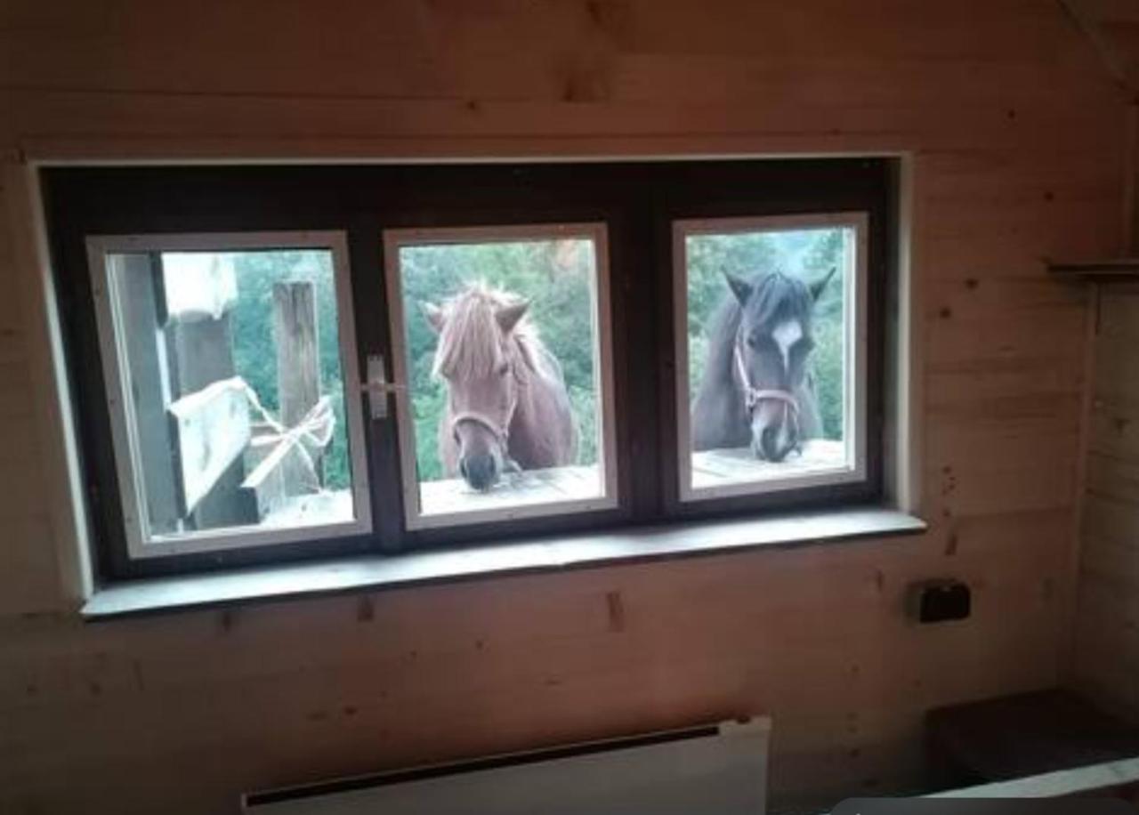 Ranch At Geta Guest House Razgorce Luaran gambar