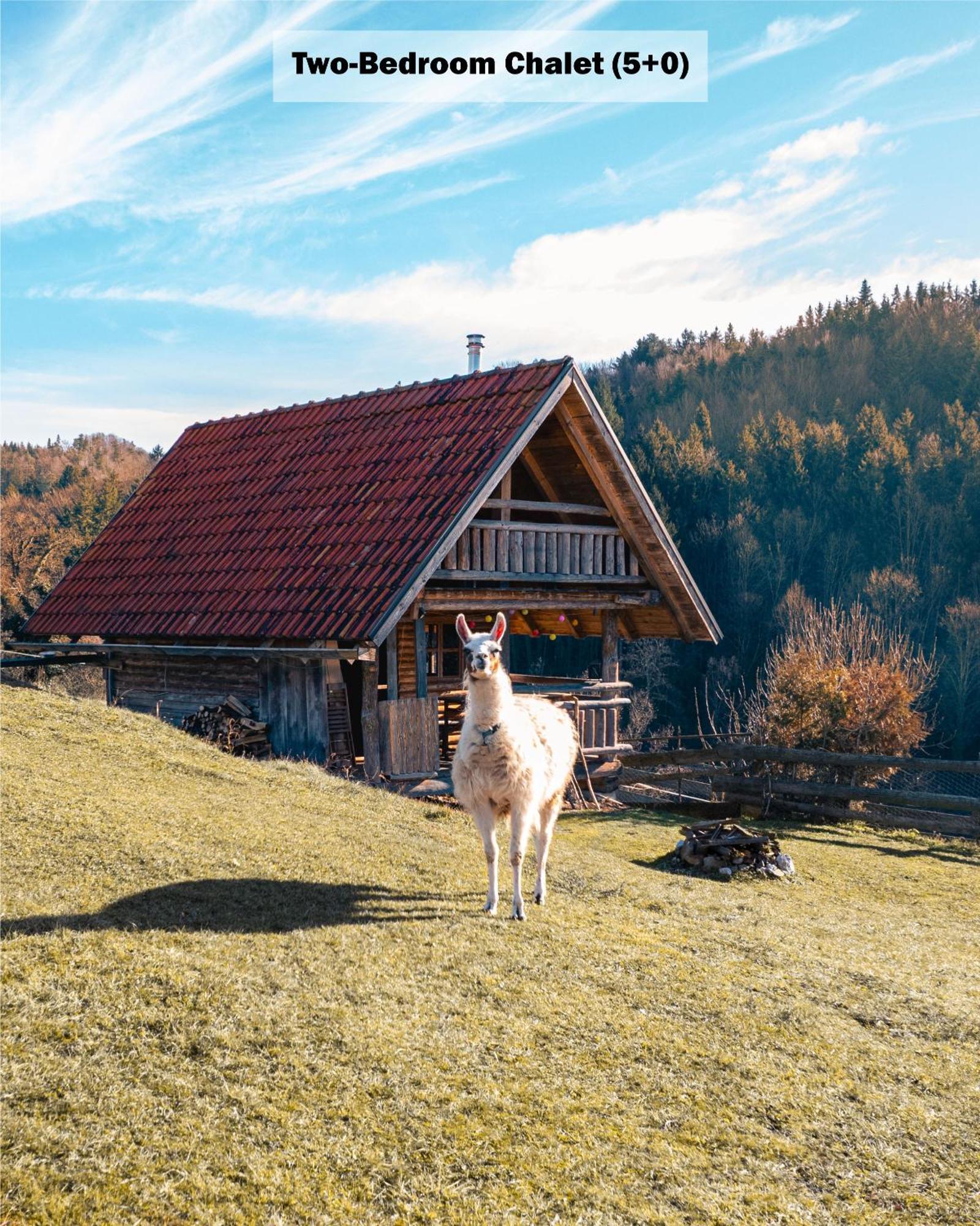 Ranch At Geta Guest House Razgorce Bilik gambar